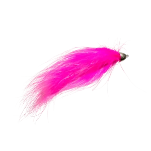 CONE HEAD BEAR BAY LODGE LEECH PINK